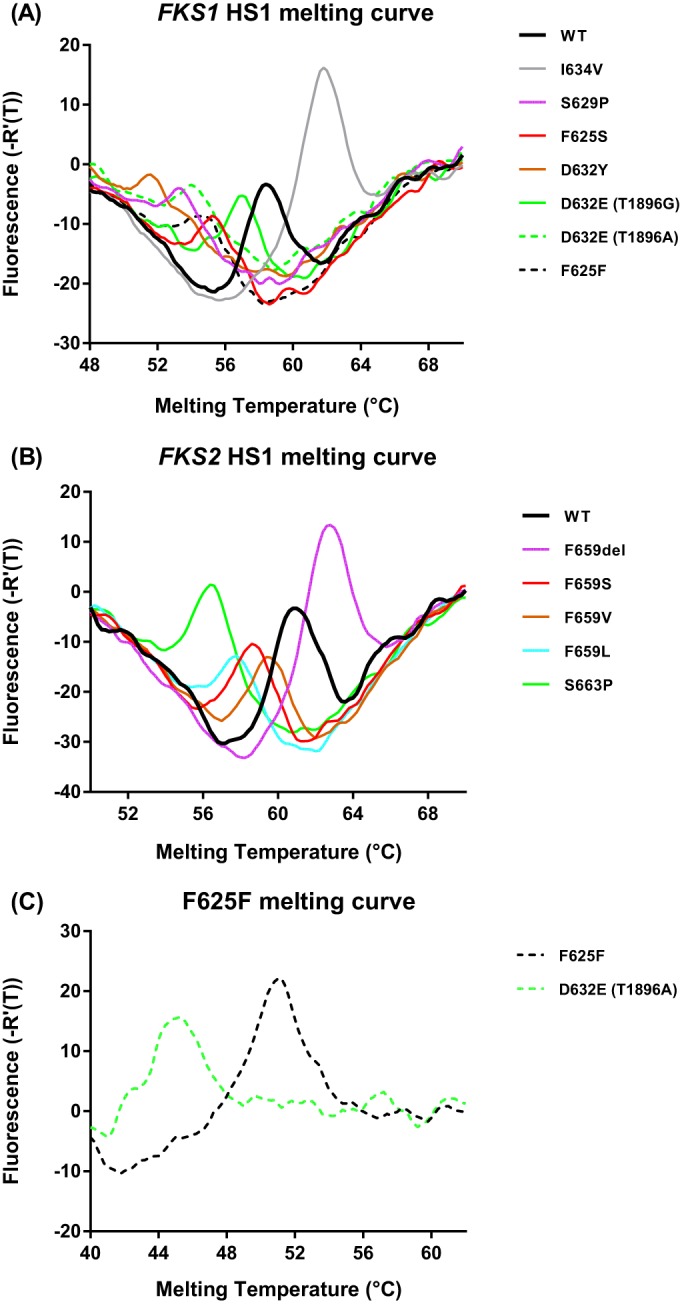 FIG 1