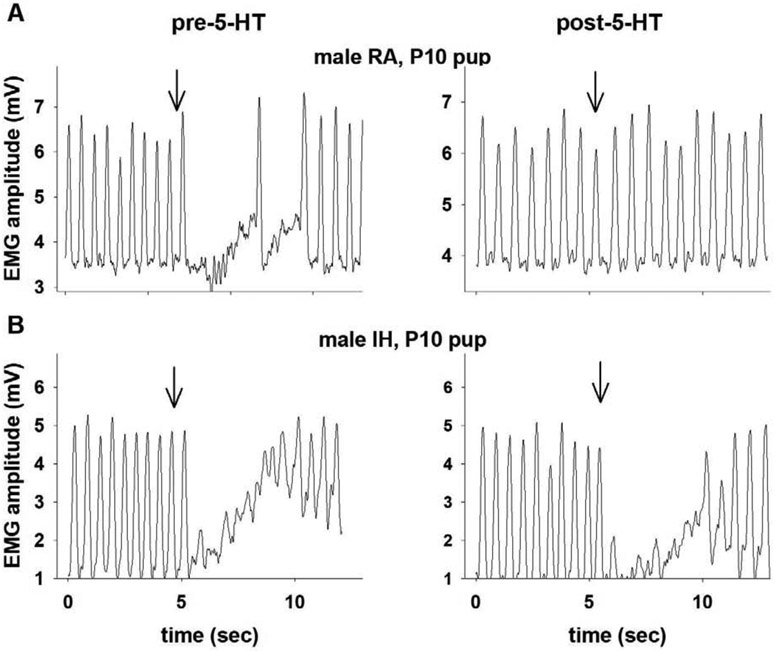 Figure 2: