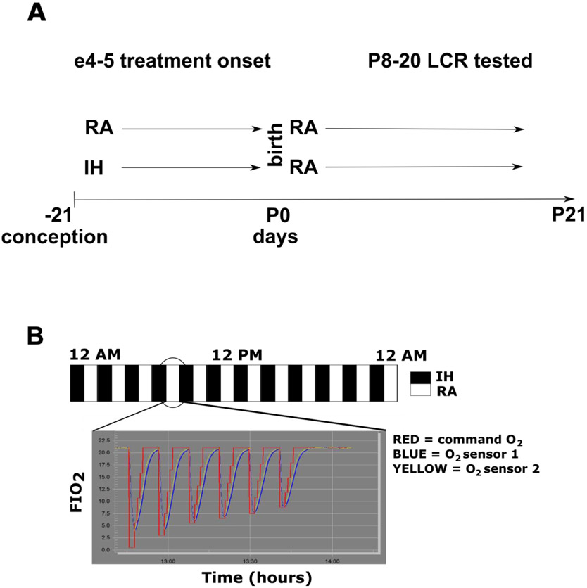 Figure 1: