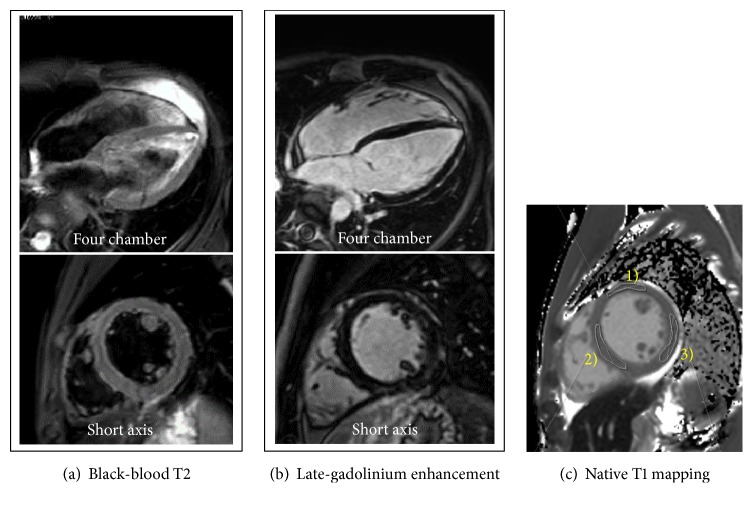 Figure 6