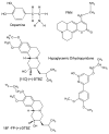 Fig. 9