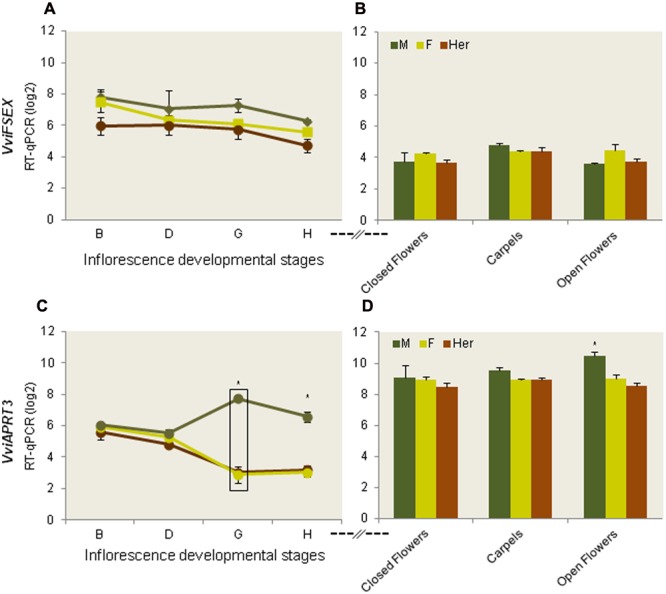 FIGURE 3