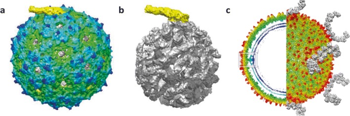 Fig. 3