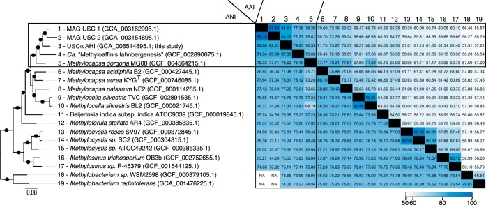 FIG 1