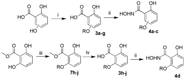 Scheme 1