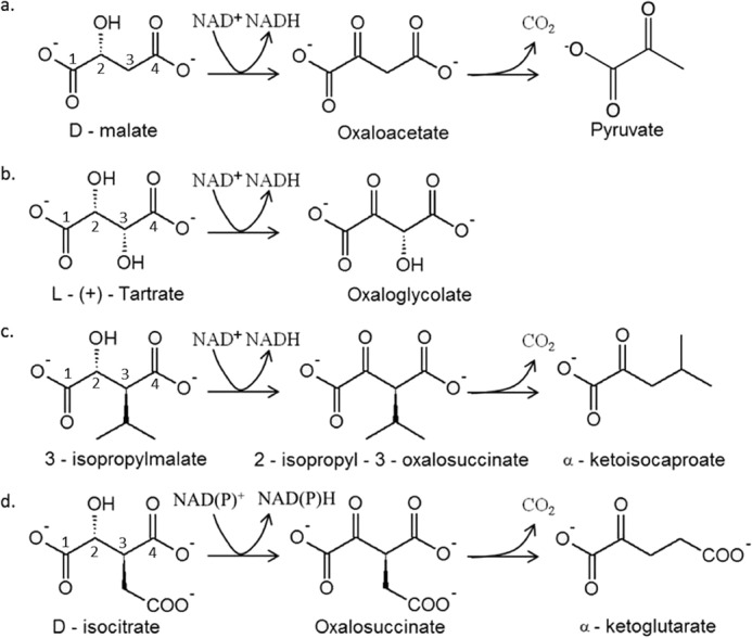 FIGURE 1.