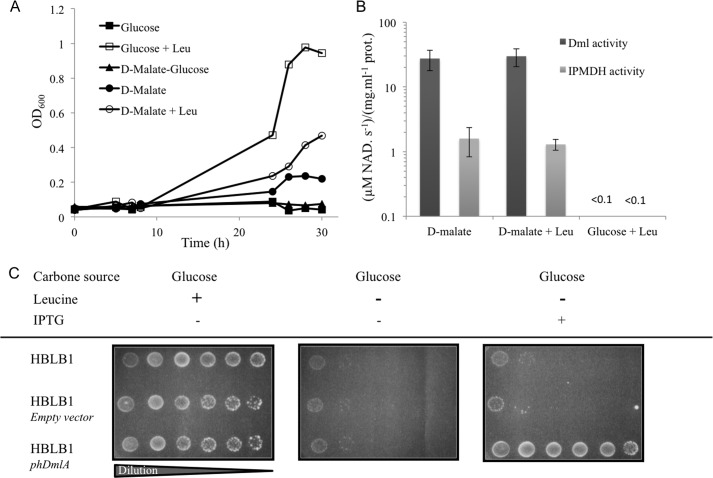 FIGURE 3.