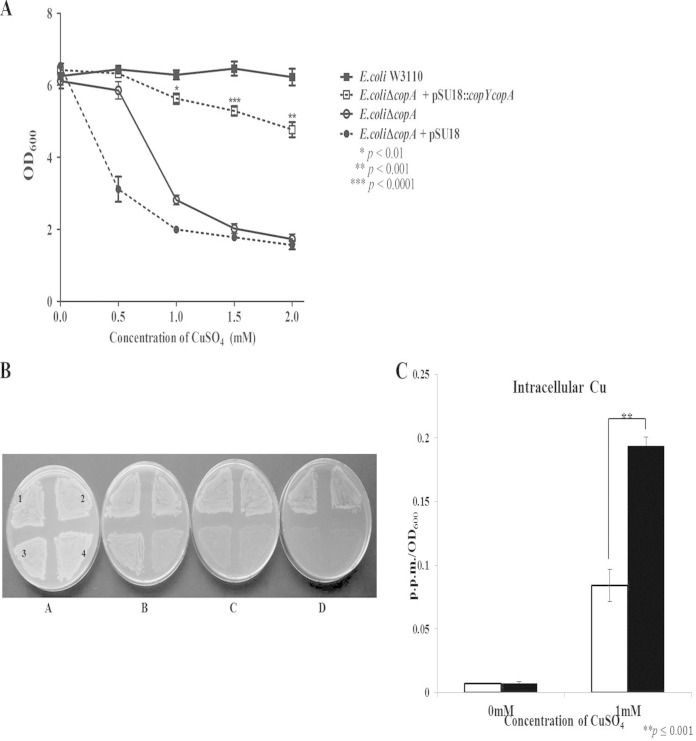 FIG 7