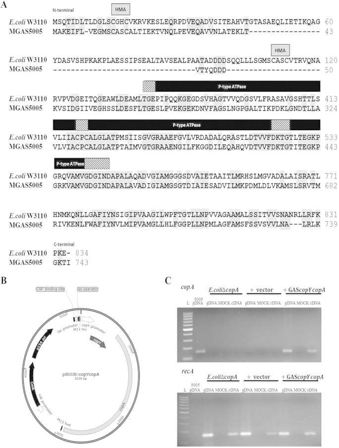 FIG 6