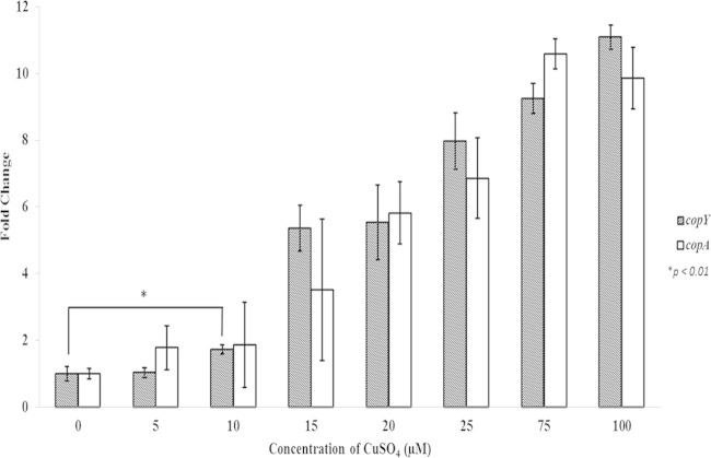 FIG 2