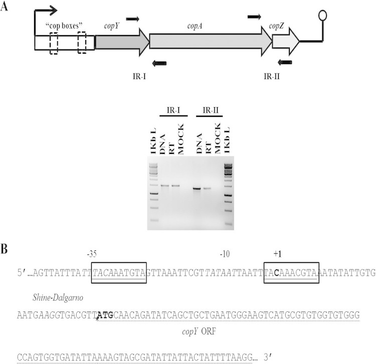 FIG 3