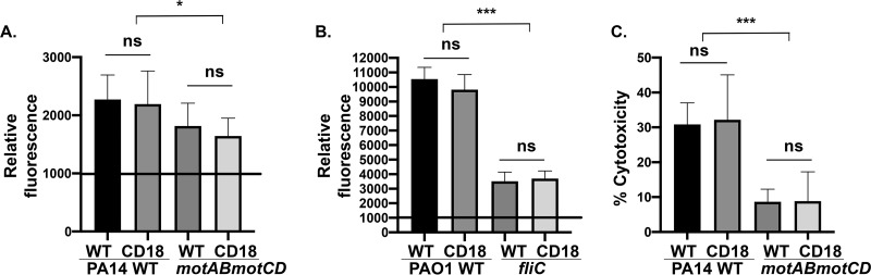 FIG 2