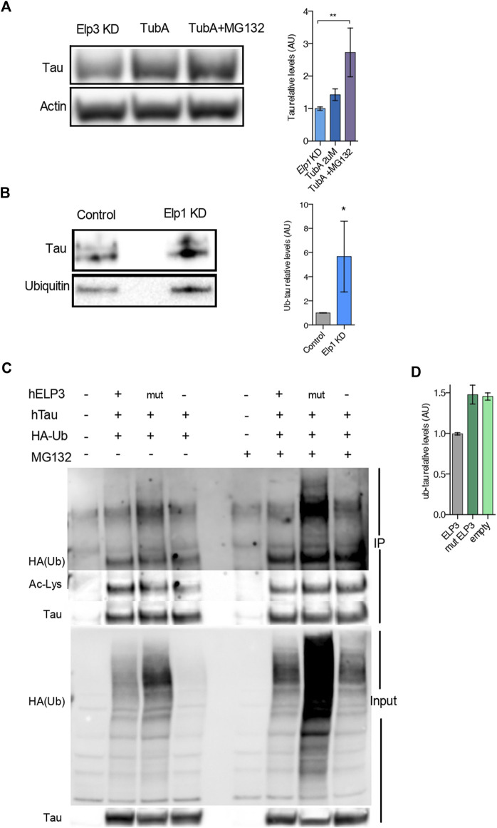 FIGURE 6