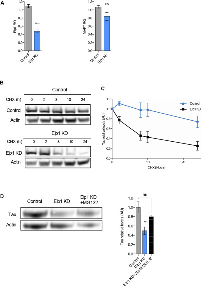 FIGURE 4