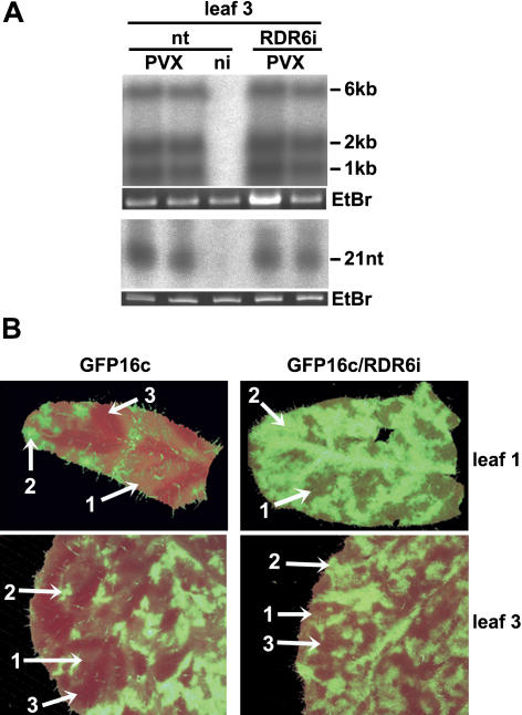 Figure 6.