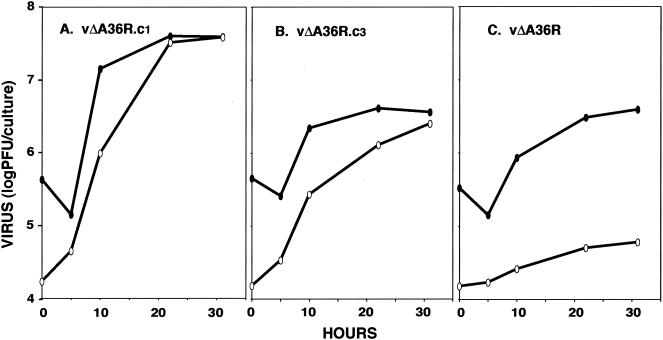 FIG. 5.