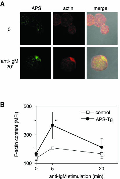 FIG. 4.