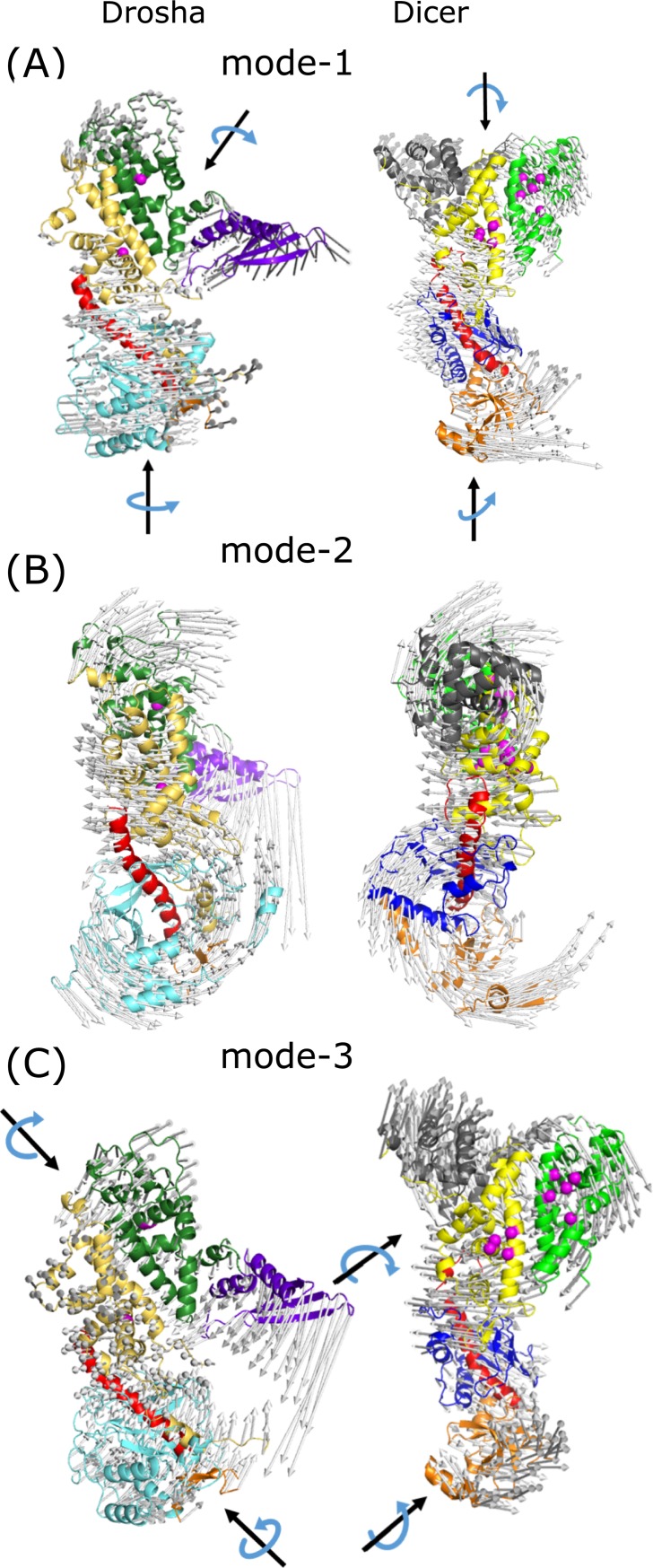 Fig 5