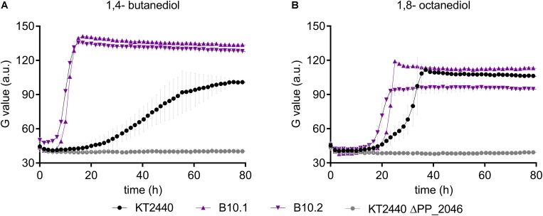 FIGURE 6