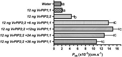 Figure 7.