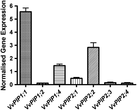 Figure 5.