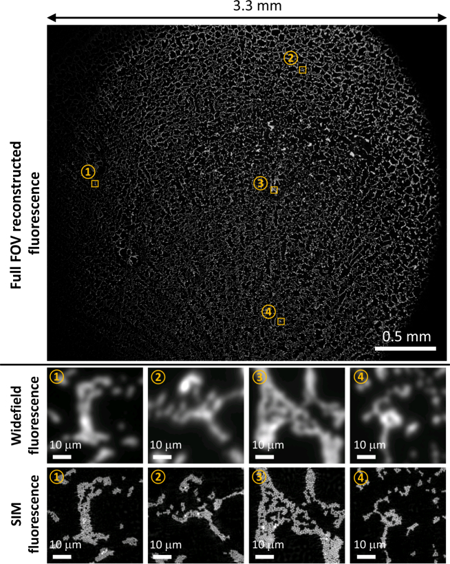 Fig. 4