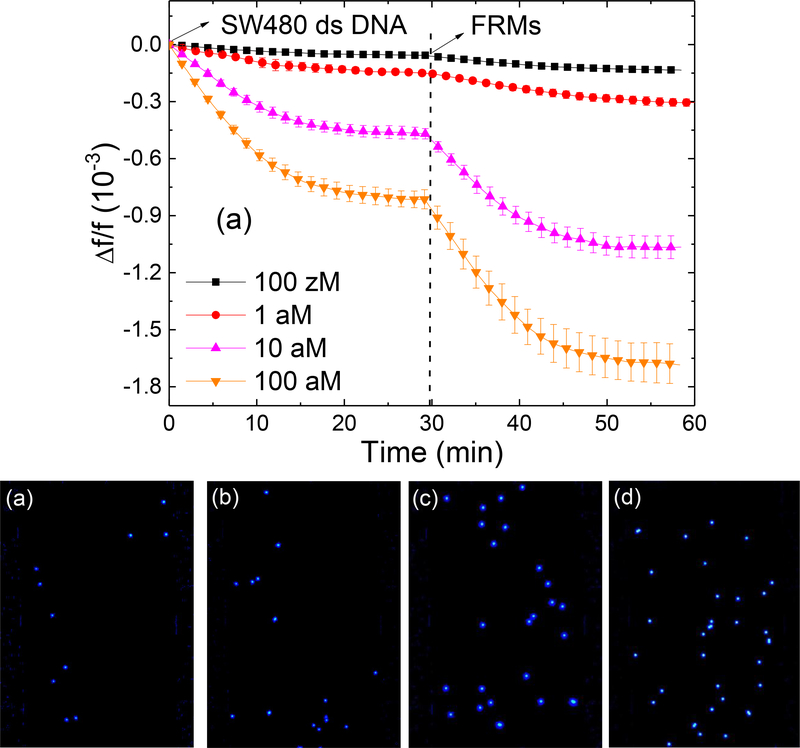 Figure 6: