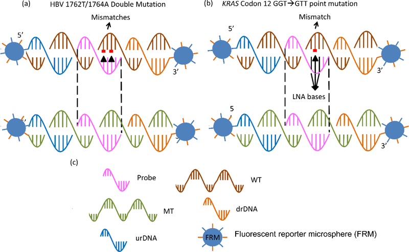 Figure 1: