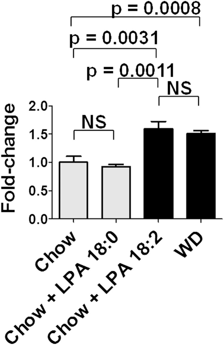 Fig. 12.