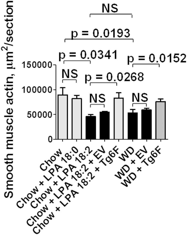 Fig. 5.