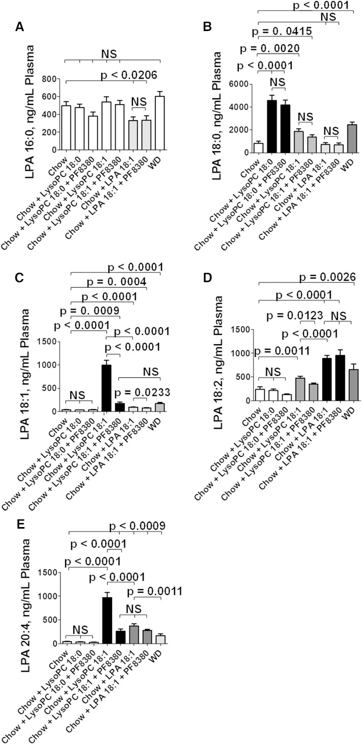 Fig. 10.