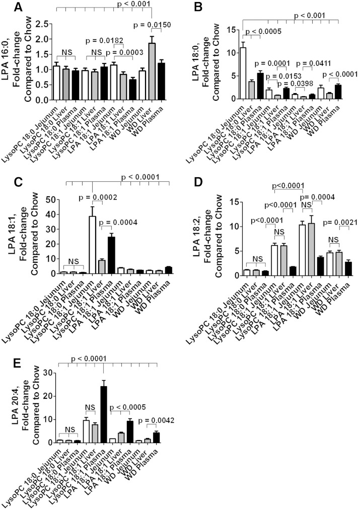 Fig. 11.