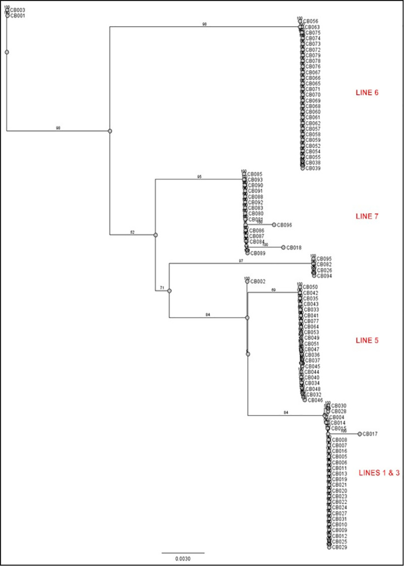 Fig 1