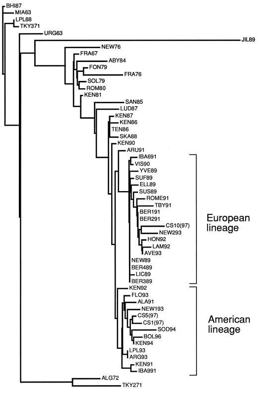 FIG. 3