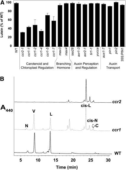 Figure 2.