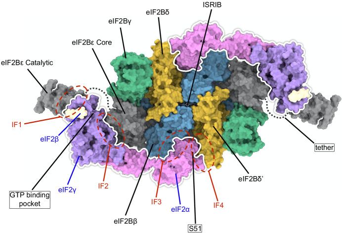 Figure 1—figure supplement 1.