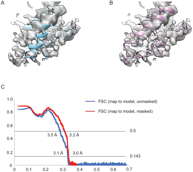 Figure 7—figure supplement 4.