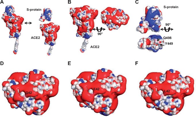 Fig. 6.