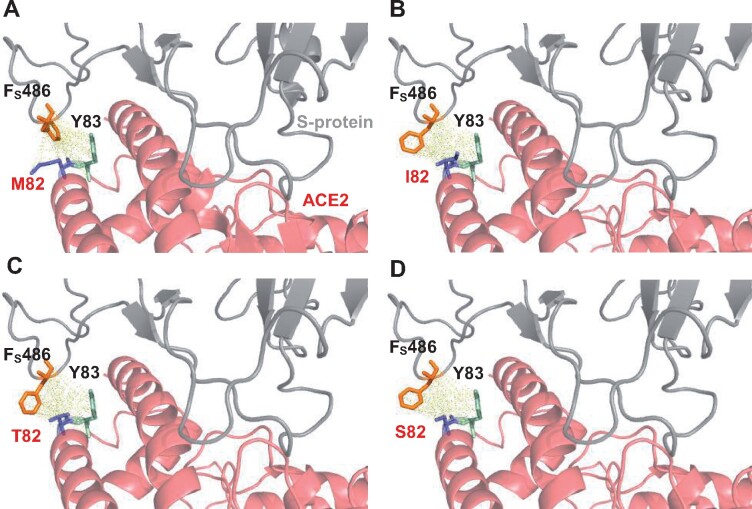 Fig. 7.