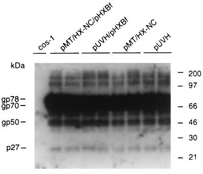 FIG. 8