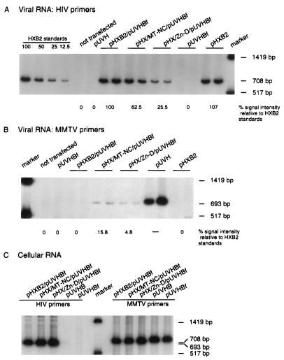 FIG. 6