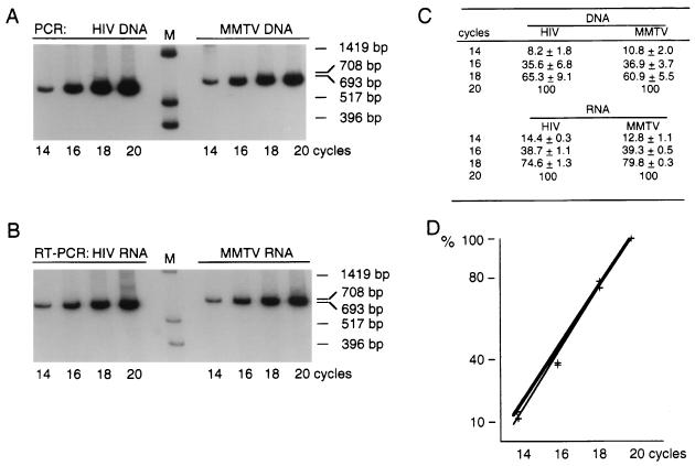 FIG. 7