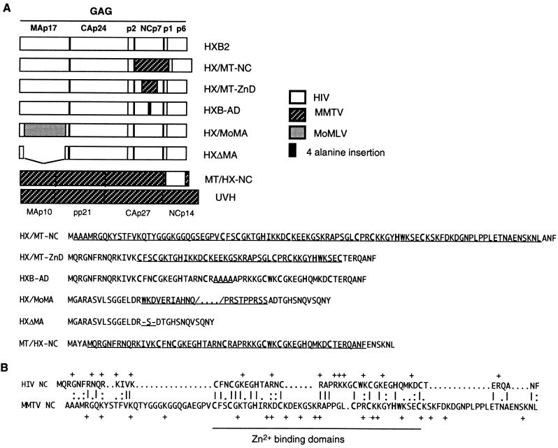 FIG. 1