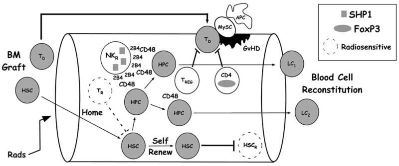 Fig. (4)