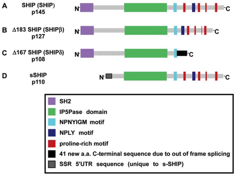 Fig. (1)