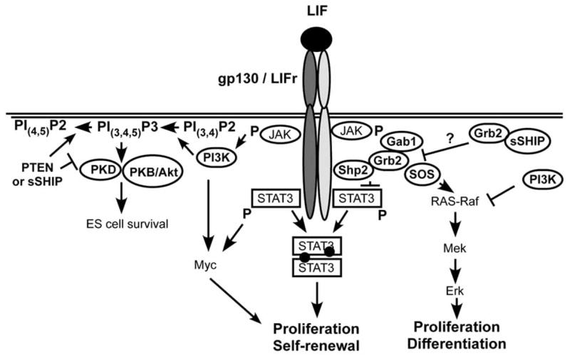 Fig. (3)