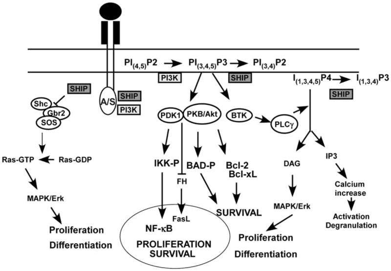 Fig. (2)