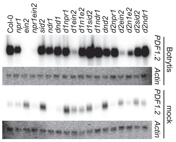 Figure 9