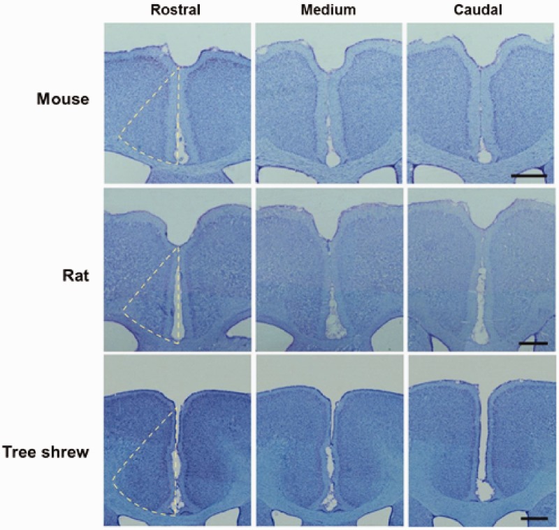 Figure 3.