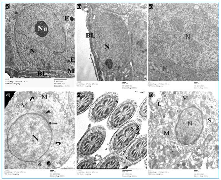 Figure 12